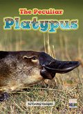 The Peculiar Platyus
